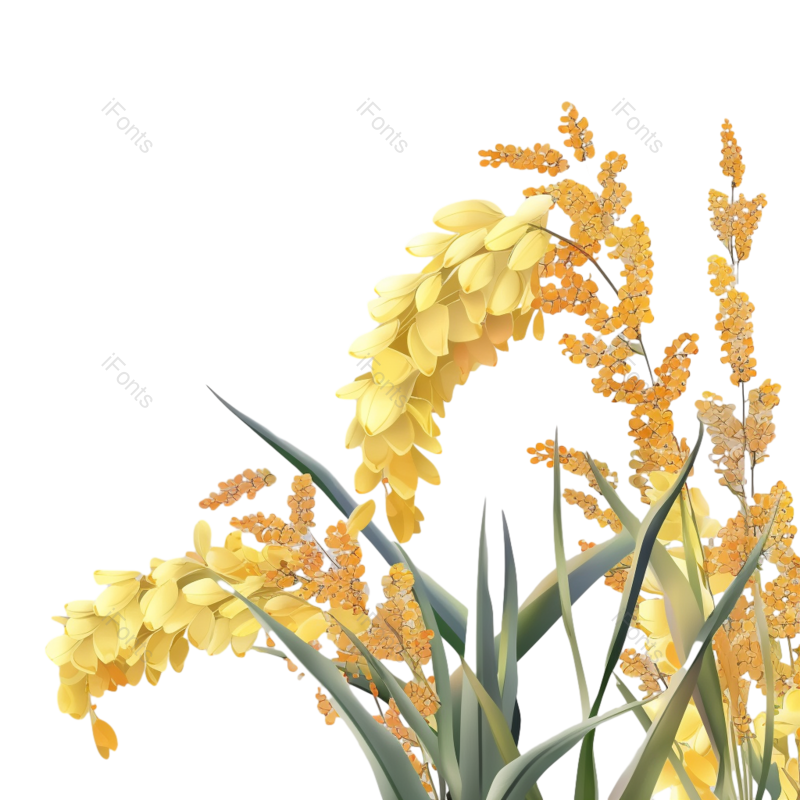 芒种图片,小满元素,丰收PNG,麦田免抠素材